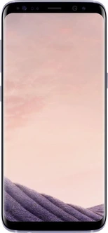 Samsung Galaxy S8 G950F Gray