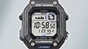 Casio Timeless Collection Standard WS-B1000-1AVEF