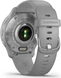 Garmin Venu 2 Plus silver/powder grey