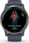 Garmin Venu 2 granite blue/silver