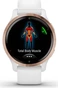Garmin Venu 2S white/rose gold