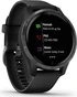 Garmin Venu black/slate