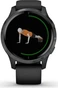 Garmin Venu black/slate