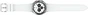 Samsung Galaxy Watch 4 Classic R880 42mm silver