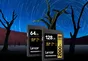 Lexar Professional 2000x Gold Series R300/W260 SDXC 64GB, UHS-II U3, Class 10