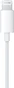 Apple EarPods with Lightning connector (2024)
